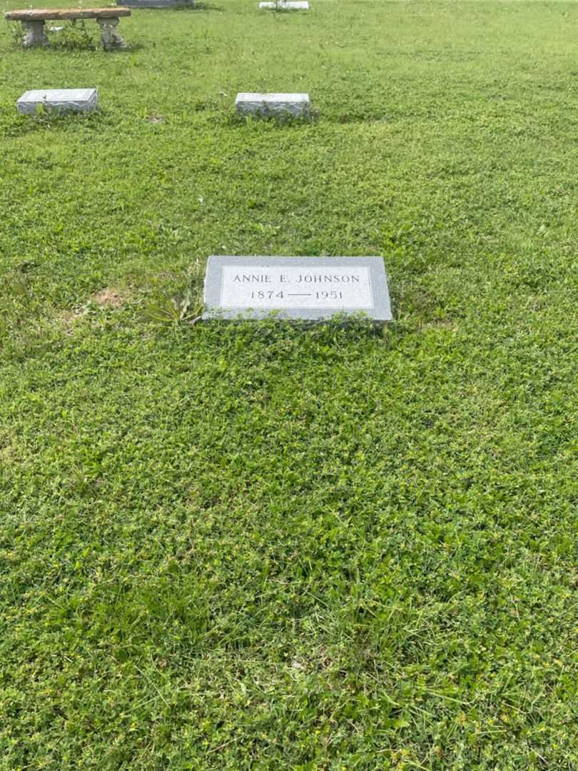 Annie E. Johnson's grave. Photo 1