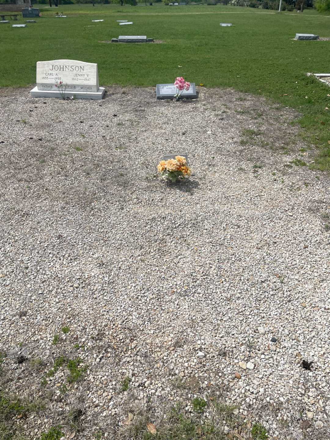 Warren Johnson's grave. Photo 1