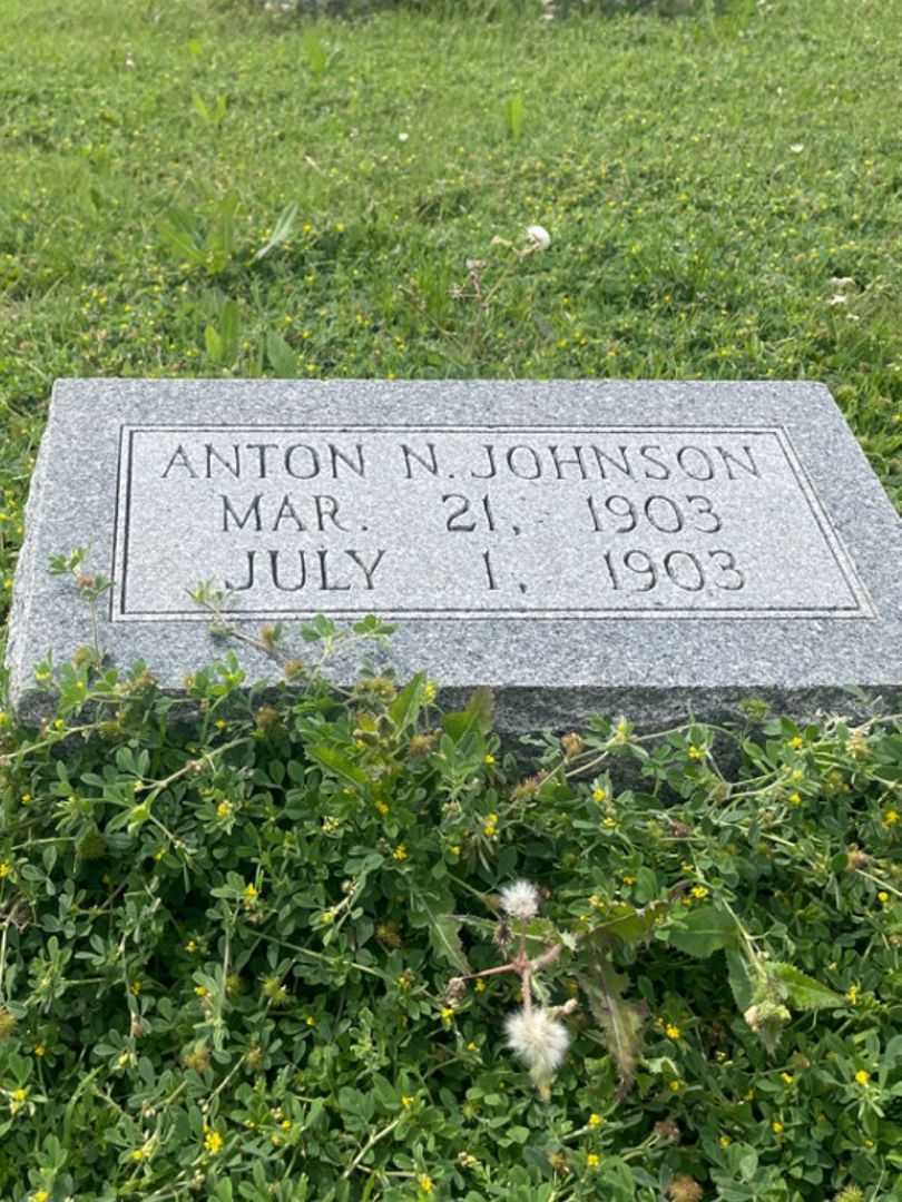 Anton N. Johnson's grave. Photo 2