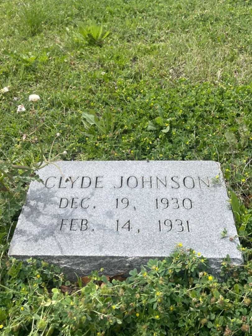 Clyde Johnson's grave. Photo 2