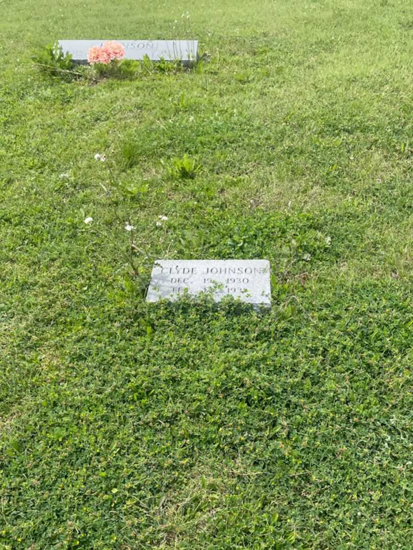 Clyde Johnson's grave. Photo 1