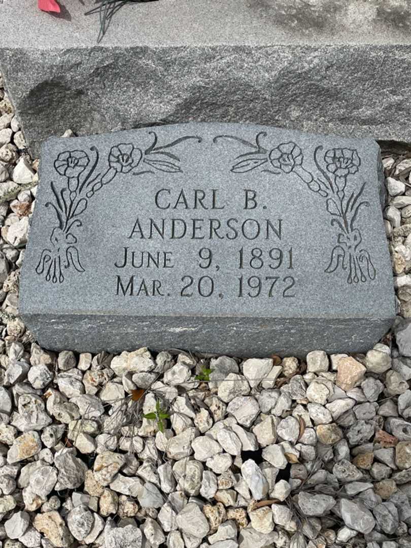 Carl B. Anderson's grave. Photo 3