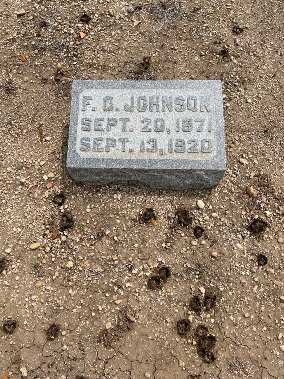 F. O. Johnson's grave. Photo 2