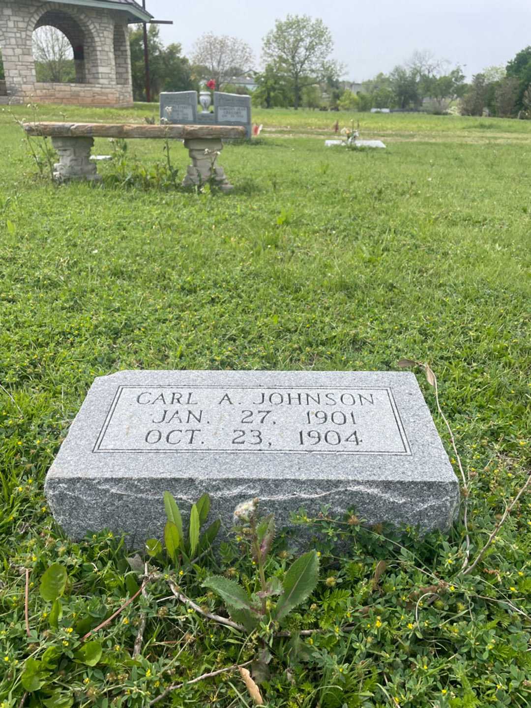 Carl A. Johnson's grave. Photo 2