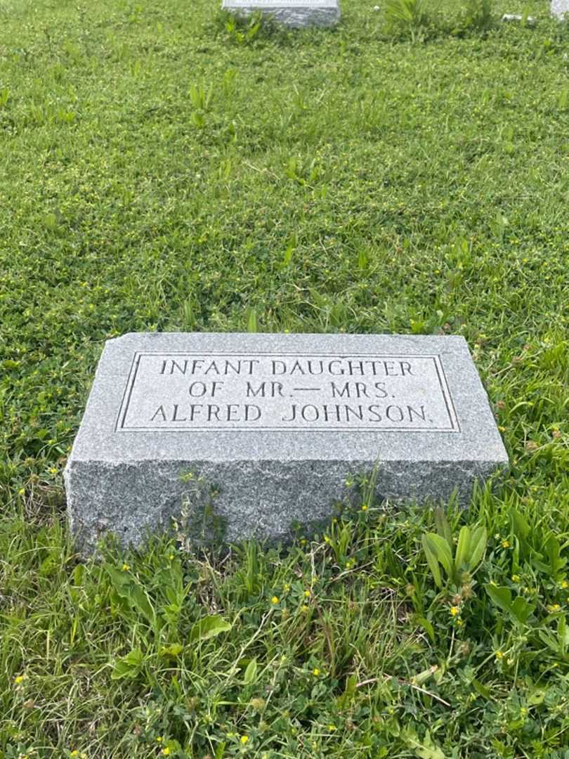 Infant Johnson's grave. Photo 2