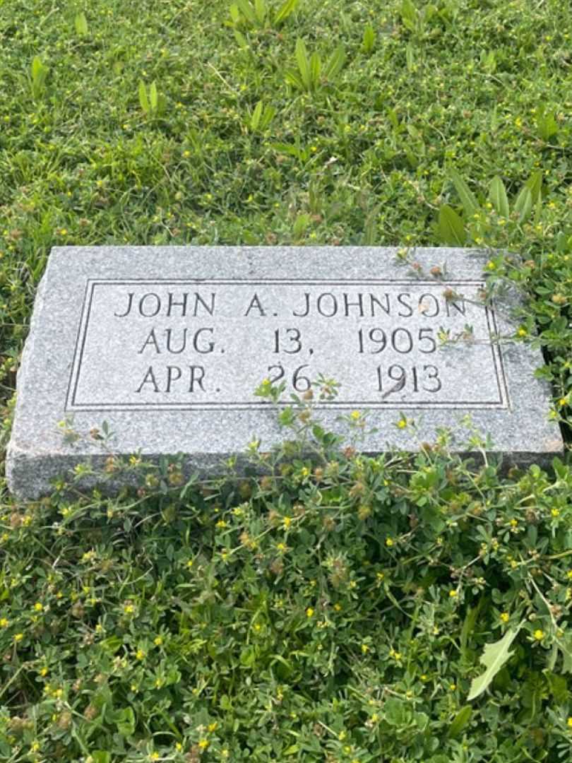 John A. Johnson's grave. Photo 2